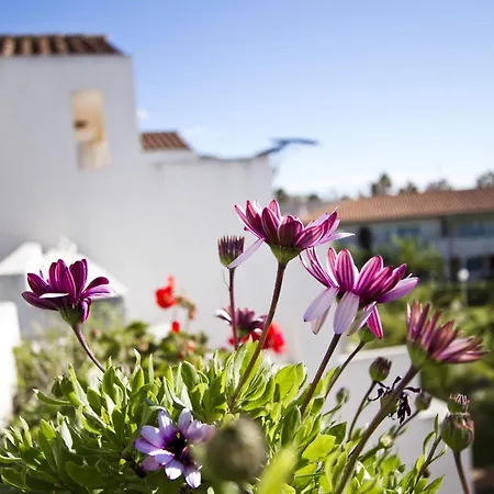 Apartment Grana - Punta Prima Complex La Pineda